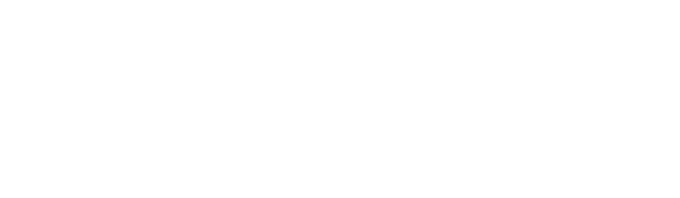 Chebizz Online Services
